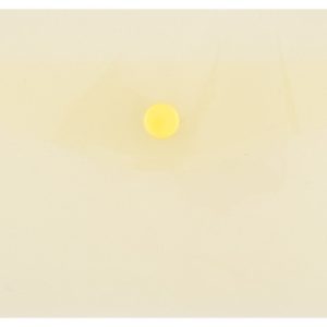 Mapa PP protectie documente DL landscape, inchidere cu capsa, 10/set, DONAU - galben transparent