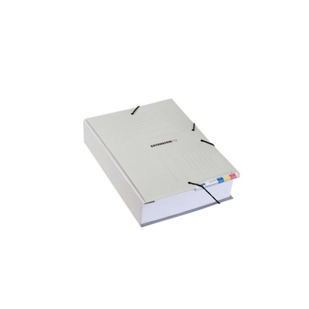 Dosar extensibil din carton, cu elastic si alonja arhivare de mare capacitate, 5 buc/set, JALEMA - g