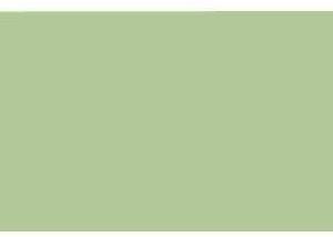Separatoare carton pentru biblioraft, 180 g/mp, 105 x 240 mm, 100/set, KANGARO - verde