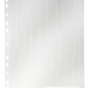 Mapa LEITZ CombiFile, cu eticheta, PP, A4, 200 mic, 40 coli, pre-perforata, 5 buc/set, transparent
