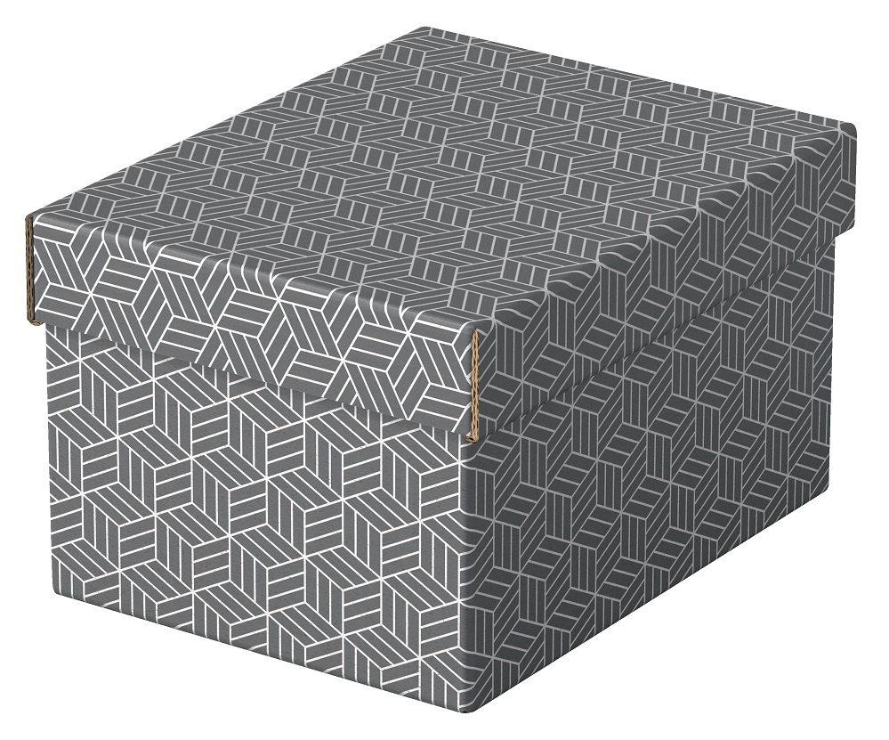 Cutie depozitare Esselte Recycled, carton, 100% reciclat, FSC, 25x20x15 cm, cu capac, 3 buc/set, gri