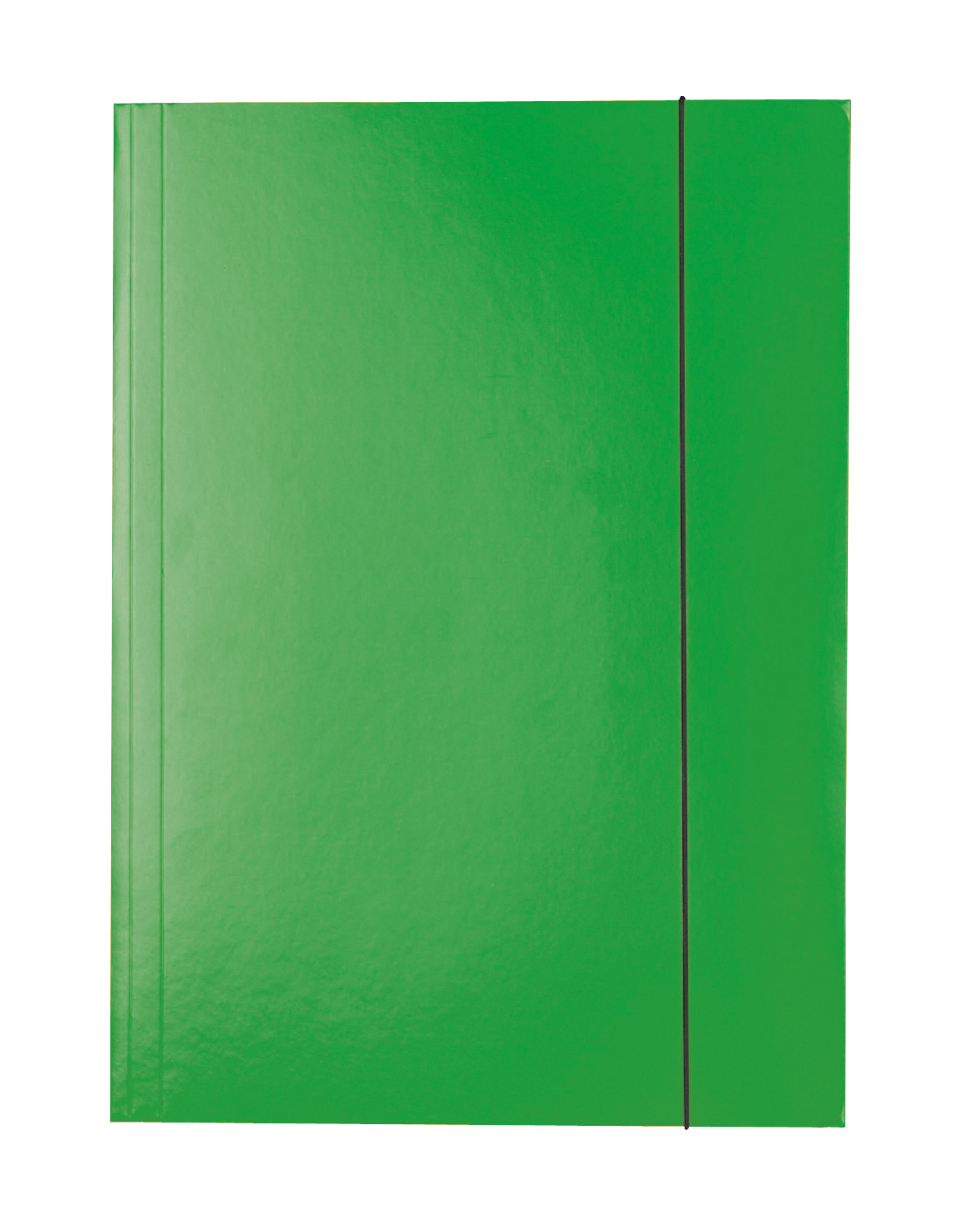 Mapa cu elastic ESSELTE Economy, carton, A4, verde