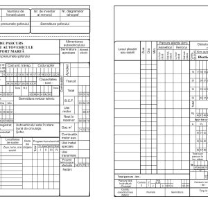 Foaie parcurs marfa, format A4, 100 coli/carnet